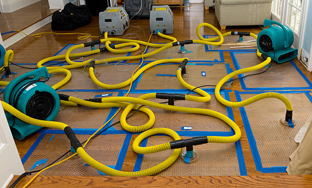 Professional Sewage Cleanup technician working in Colorado City, TX