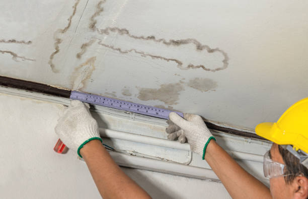 Affordable Water Damage Repair solutions in Colorado City, TX